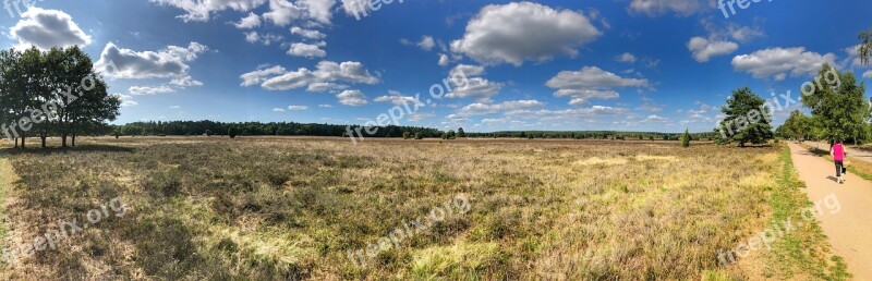 Lüneburg Heath Nature Heide Heather Heathland