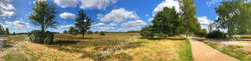 Lüneburg Heath Nature Heide Heathland Heather