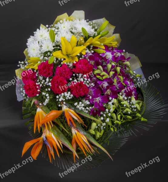 Flowers Arrangements Fragrant Free Photos