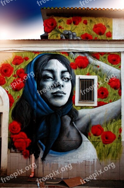 Article Murals Face Expression Girl