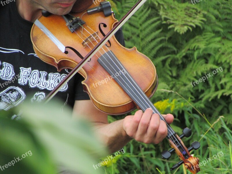 Violin Nature Musician Music Garden