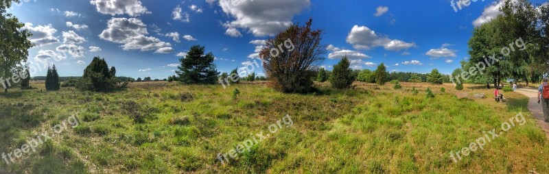 Heide Lüneburg Heath Nature Heather Pink