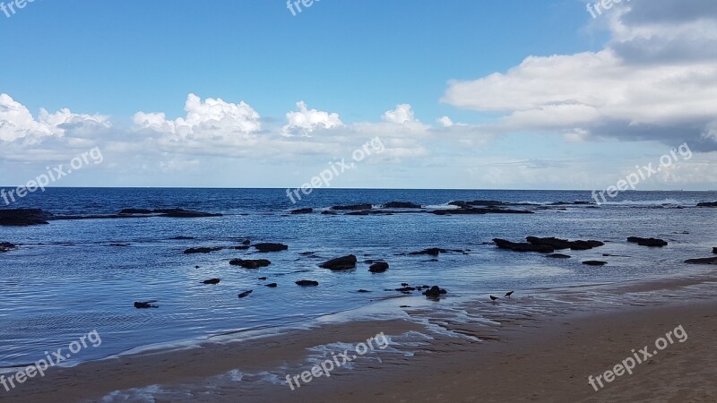 Brazil Salvador Beach Free Photos