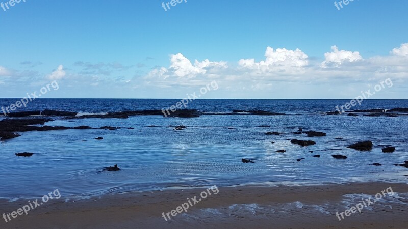 Brazil Salvador Beach Free Photos