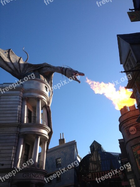 Universal Park Florida Harry Potter Dragon Free Photos