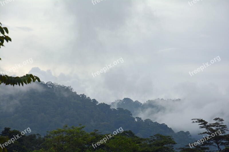 Indonesia Sumatra Ketambe Gunung Leuser National Park Free Photos