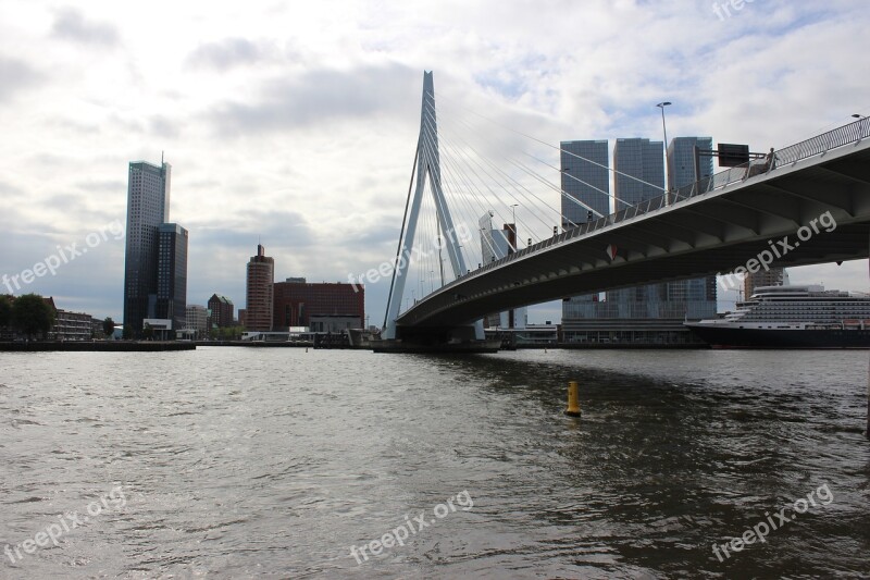 Rotterdam Erasmus Bridge New Mesh South Holland Free Photos