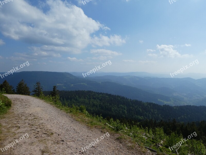 Westweg Black Forest Trail Forest Nature