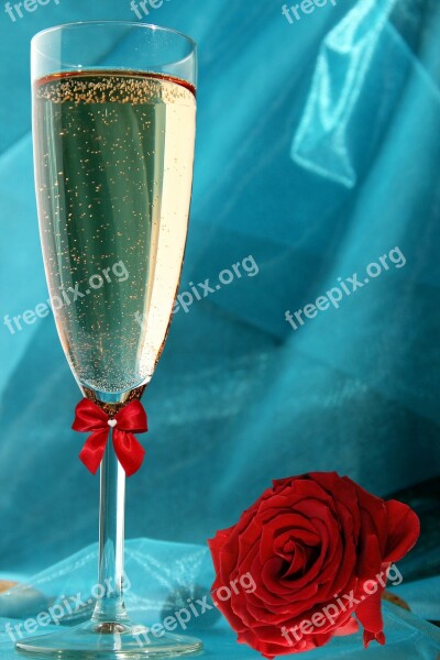 Champagne Champagne Glass Rose Red Loop