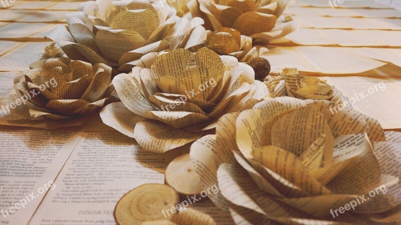 Paper Flowers Wall Flowers Environmental Interior Design Design