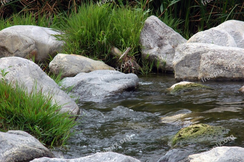 River Nature Landscape Scenic Stream