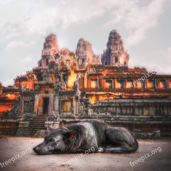 Angkor Wat Guard Dog Temple Ruin Cambodia