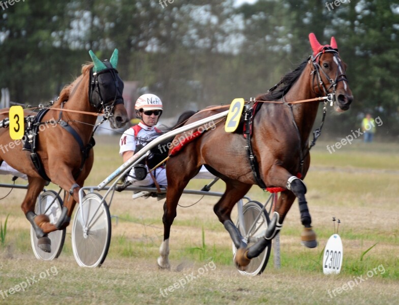 Traber Racing Sulky Jockey Trot