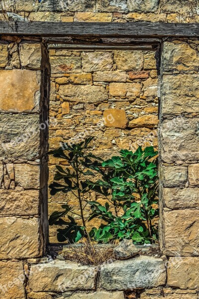 Window House Old Abandoned Stone