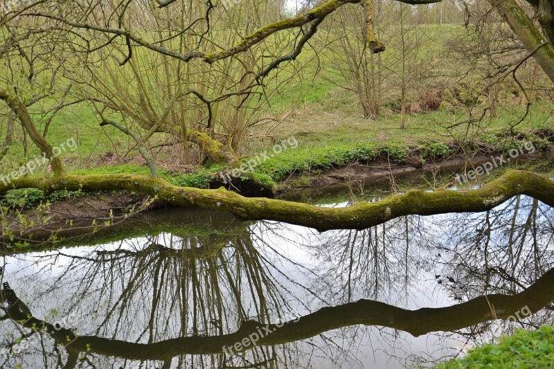 Helsingborg Råå Råådalen Tree Green