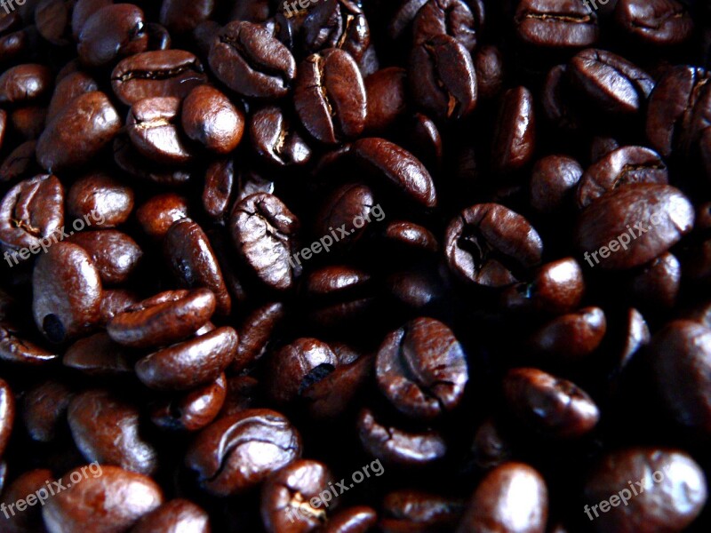 Coffee Beans Roasted Drink Brown