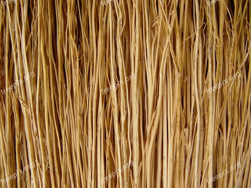 Broom Sticks Macro Background Texture