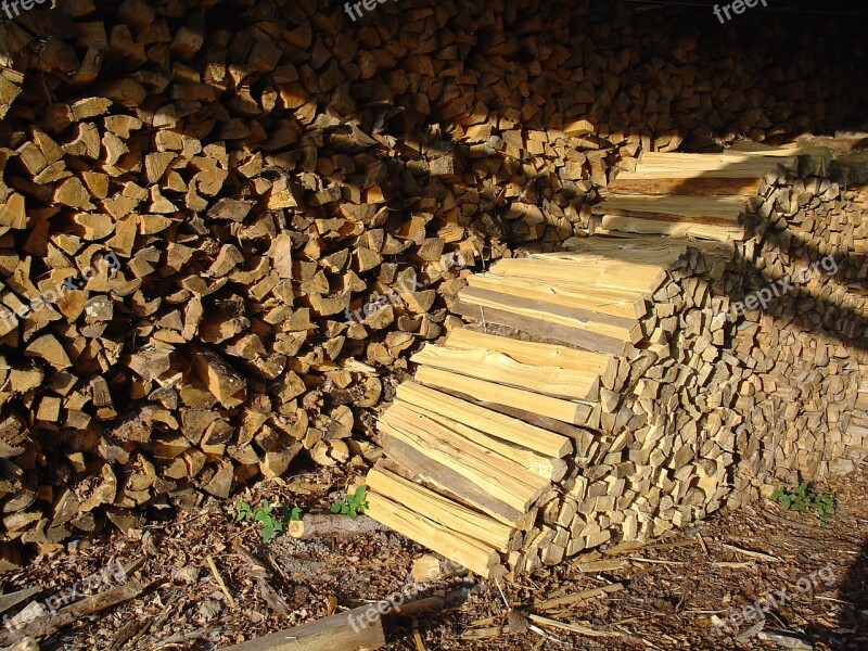 Firewood Wood Holzstapel Growing Stock Log