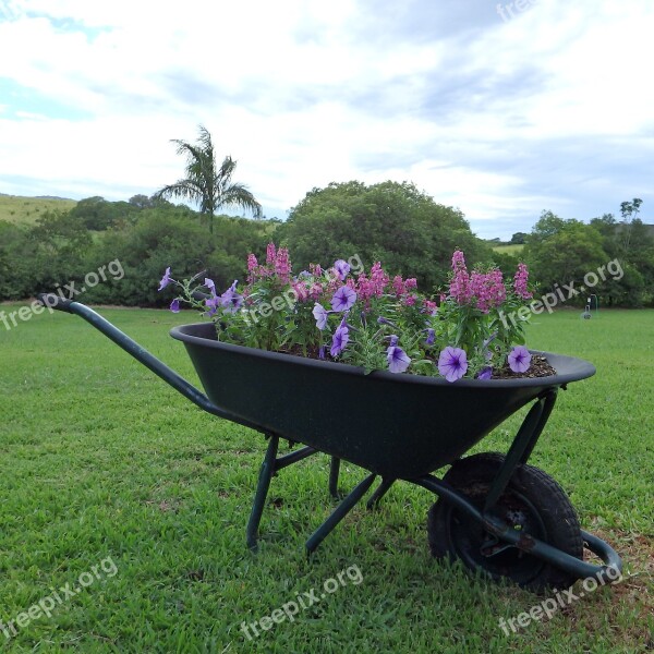 Wheel Barrow Old Garden Flowers