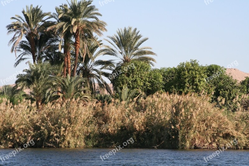 Nile Bank Travel Egypt Nature