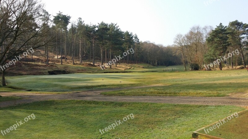 Golf Trees Course Green Fairway