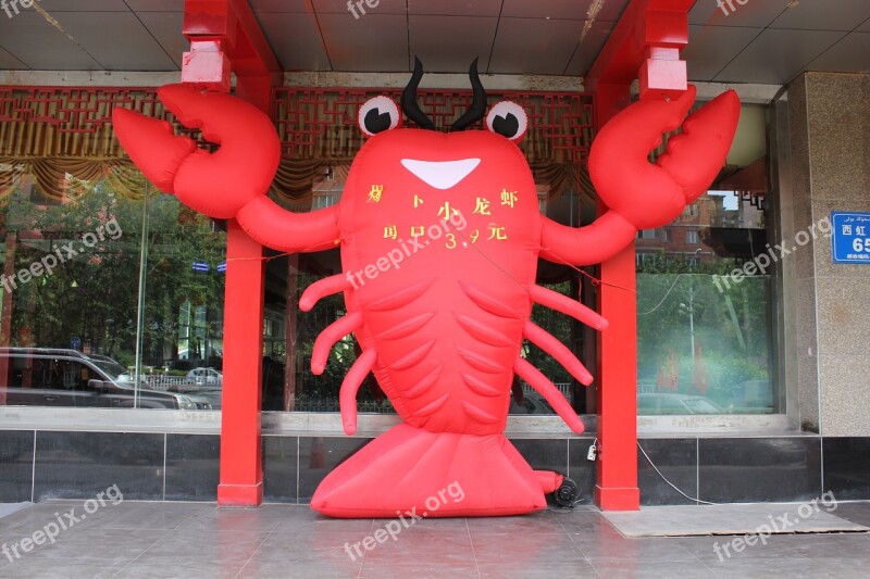 Crab Chinese Kitchen Urumqi China Free Photos