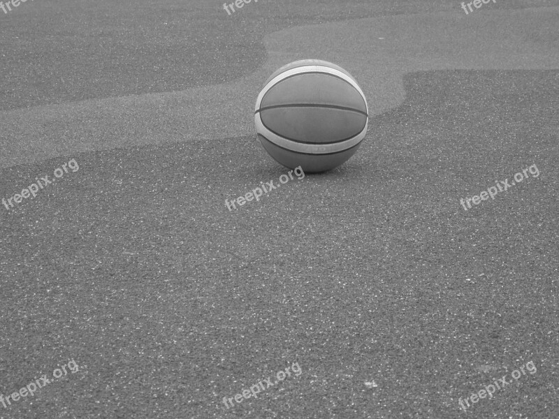 Ball Basketball Black And White Game Solitude