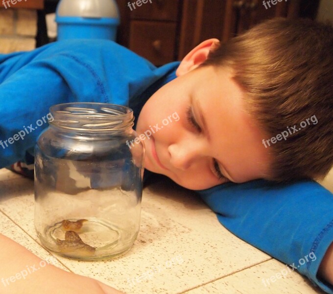 Snail Pot Glass Floor Boy