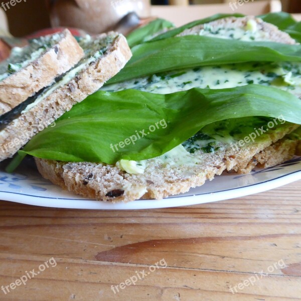 Bread Picnic Eat Meal Bear's Garlic