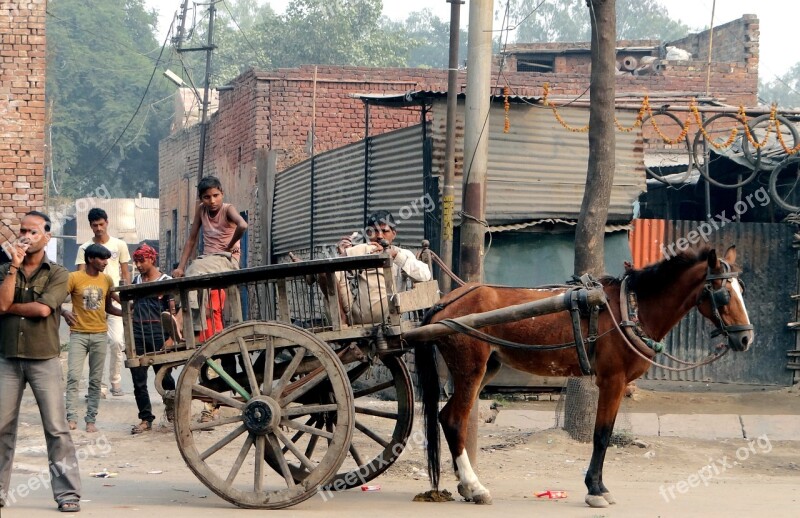 Human Horse Drawn Carriage India Free Photos