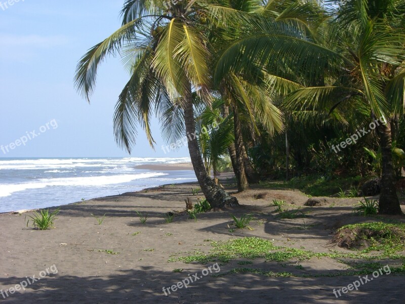 Beach Tropical Sand Sea Water