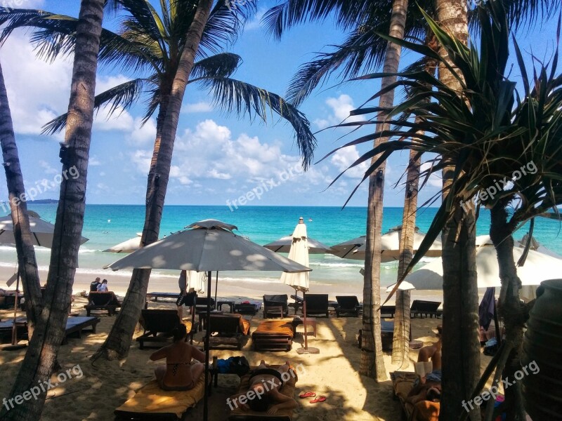 Beach Thailand Koh Samui Palm Trees Island