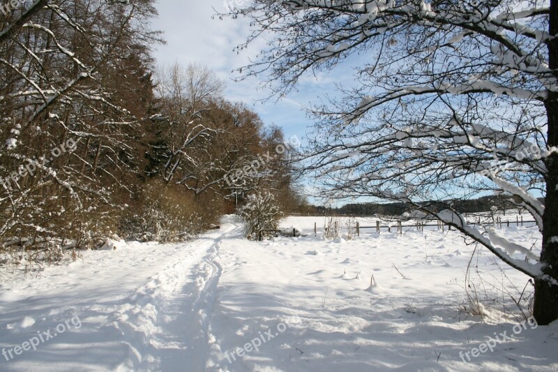 Starnberg Winter Wintry Snow White