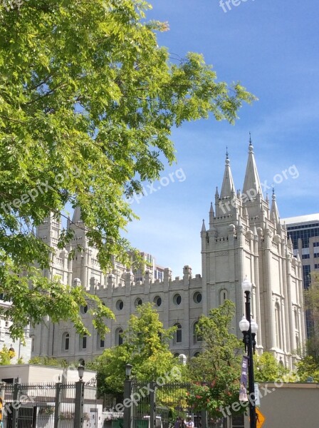 Mormon Temple Salt Lake Tree Salt