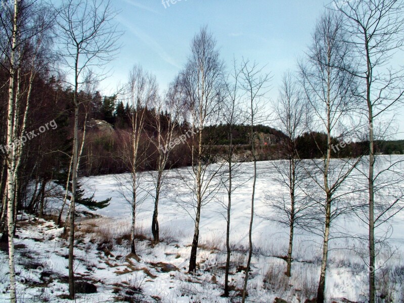 Sweden Winter Landscape Snow Scenic