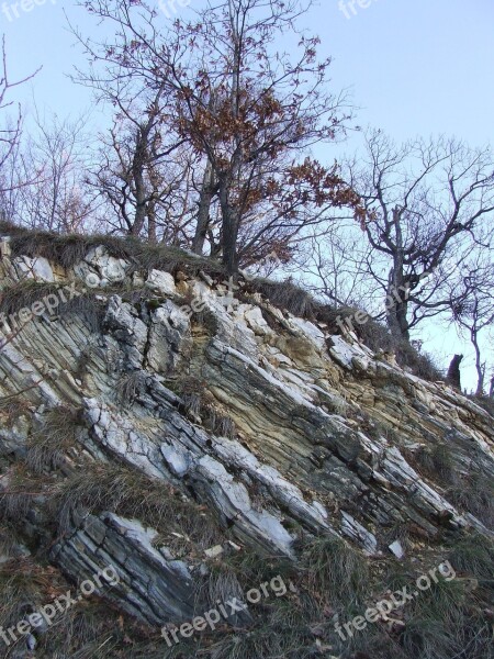 Beech Mountain Creased Slate Creased Rock Sediment Cliff