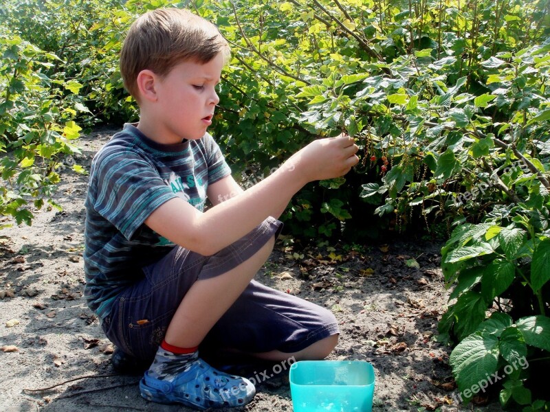 Picking Boy Carefully Child Hand