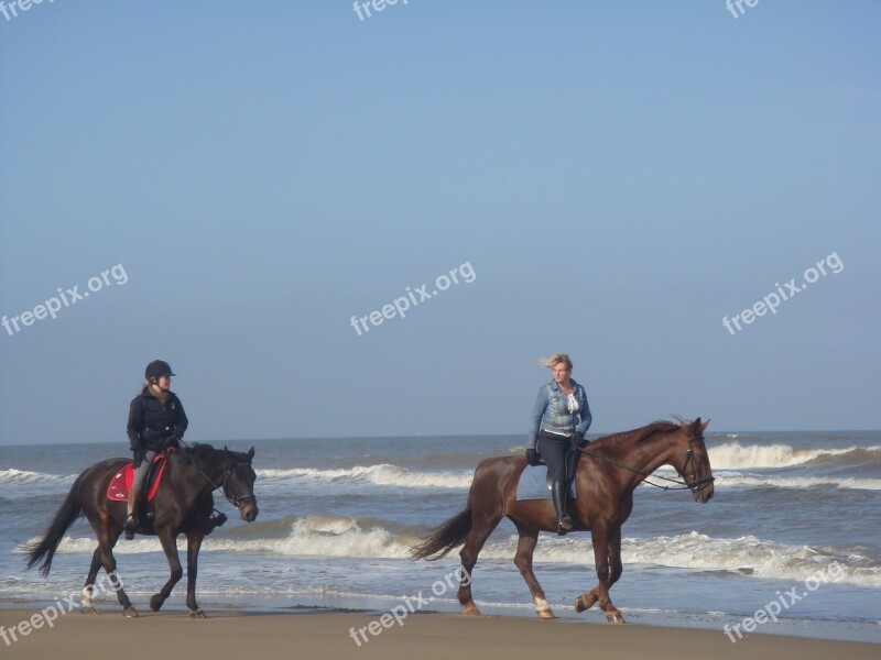 Horses Beach Sea Beach Ride Riders