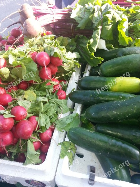 Radish Green Market Cucumbers Free Photos