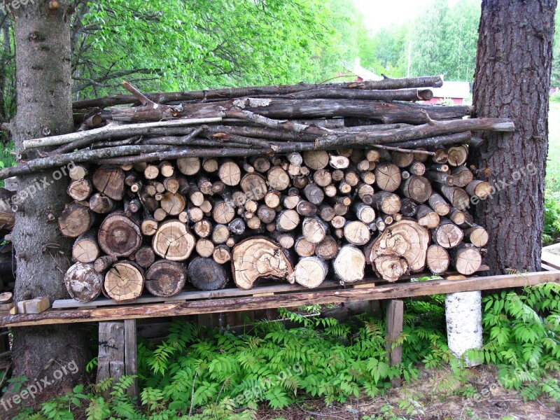 Woodpile Chopped Logs Cut Stacked