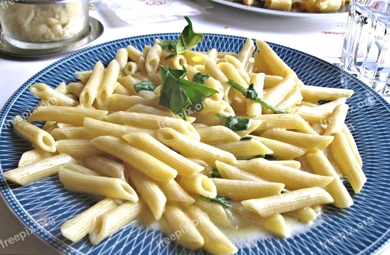 Penne Alfredo Sauce Food Italy Nutrition