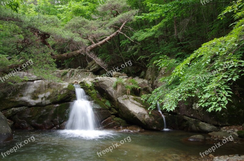 Jiri Yongso Falls Nature Free Photos