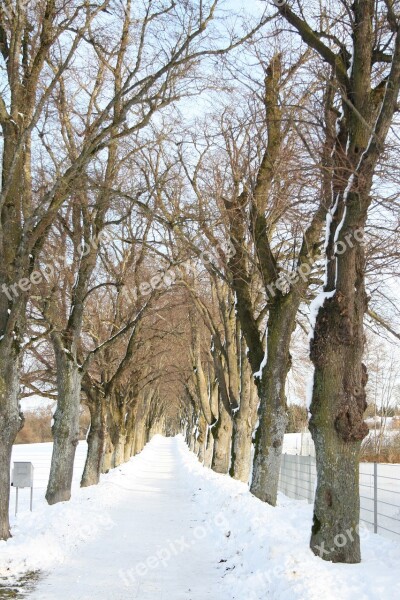 Starnberg Winter Wintry Snow White