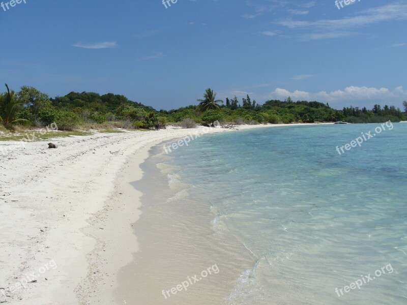 Thailand Koh Samui Island Beach Palm Trees