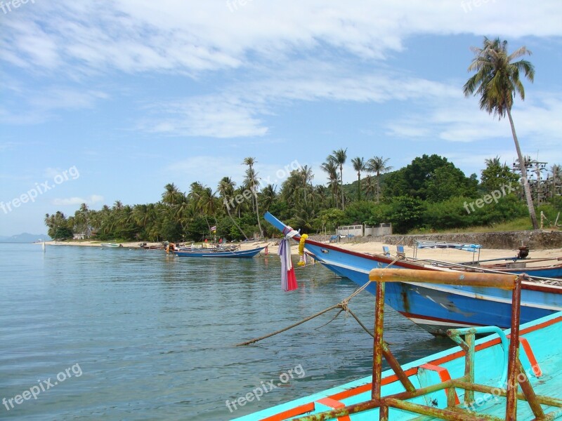 Thailand Koh Samui Island Beach Palm Trees