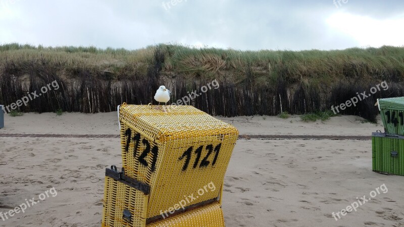 Seagull North Sea Beach Chair Free Photos