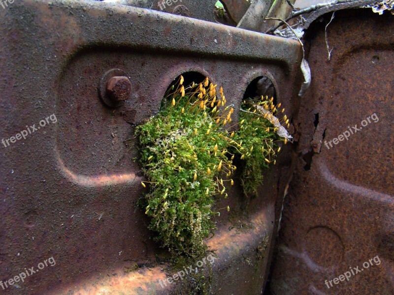 Rust Moss Scrap Automotive Shredder Residue Abandoned