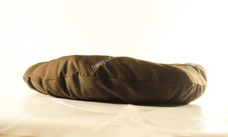 Pillow Bronze Material Free Photos