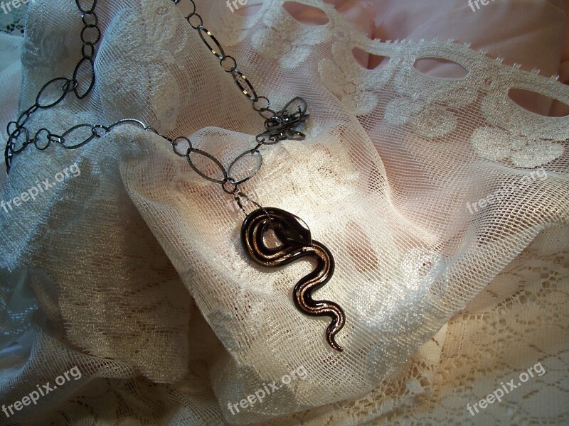 Jewelry Chain Snake Fashion Glamour