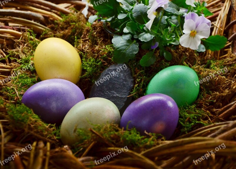 Easter Eggs Egg Colored Easter Nest Painted